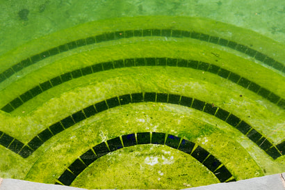 This is a picture of a pool with algae in Amarillo, Texas.