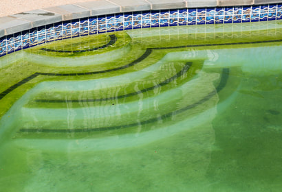 This is a picture of a very dirty pool with green algae in Amarillo, Texas.